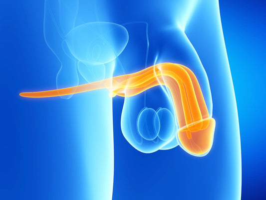 Is Using a Chastity Cage Safe? Doctor's Guide to Safety, Comfort, and Hygiene - Locked Men Club