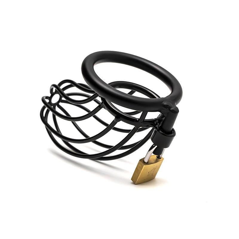 Metal Chastity Cage With Padlock-Black - Locked Men Club