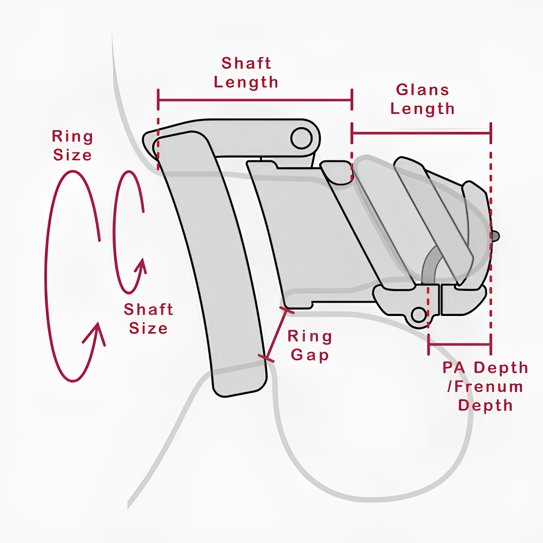 Measure for a Chastity Cage: The Ultimate Guide to Comfort and Fit - Locked Men Club