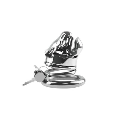 Male metal chastity cages, BDSM gear, male chastity devices, penis cage, gay chastity cage, gay cuckold, dom sum play, pissing tube, metal cock cage, kinky sex toys, flat inverted metal bioresin small chastity cage, erotic, submissive play, chastity, cuck