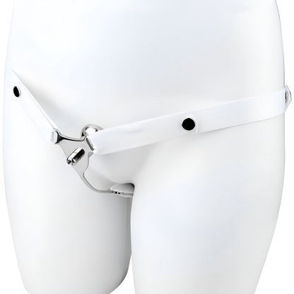 Chastity Belt, Sissy Chastity Belt, Male Chastity Belt, Stainless Steel Chastity Belt, Premium Chastity Belt, Sissy BDSM Gear, Gay Chastity Belt, Sissy BDSM Toys, Trans Chastity Gear, Gay Kink Gear, Sissy Kink, Trans BDSM, Chastity Belt for Men, Sissy BDS