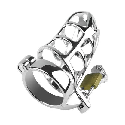 Metal Chastity Cage With Padlock - Locked Men Club