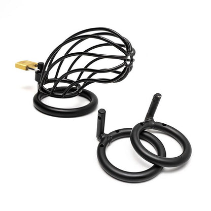 Metal Chastity Cage With Padlock-Black - Locked Men Club